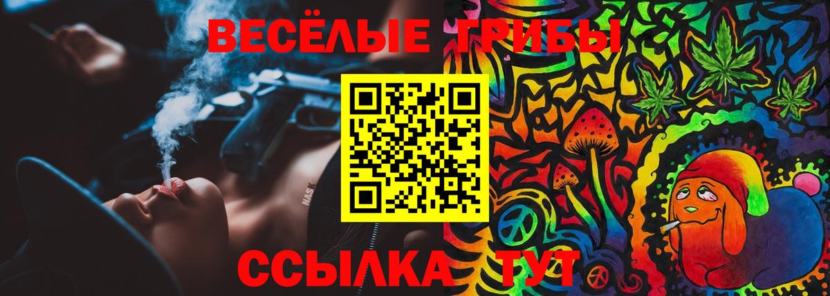 Псилоцибиновые грибы Psilocybe Елизово