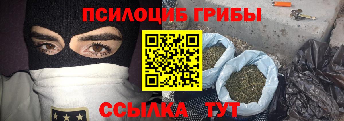 Галлюциногенные грибы ЛСД  Вход с VPN  купить наркоту  Елизово 